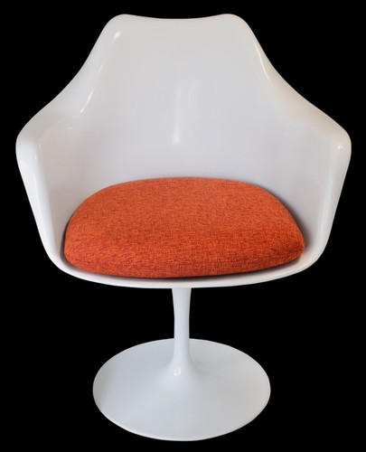 Replacement cushion for - cushion,